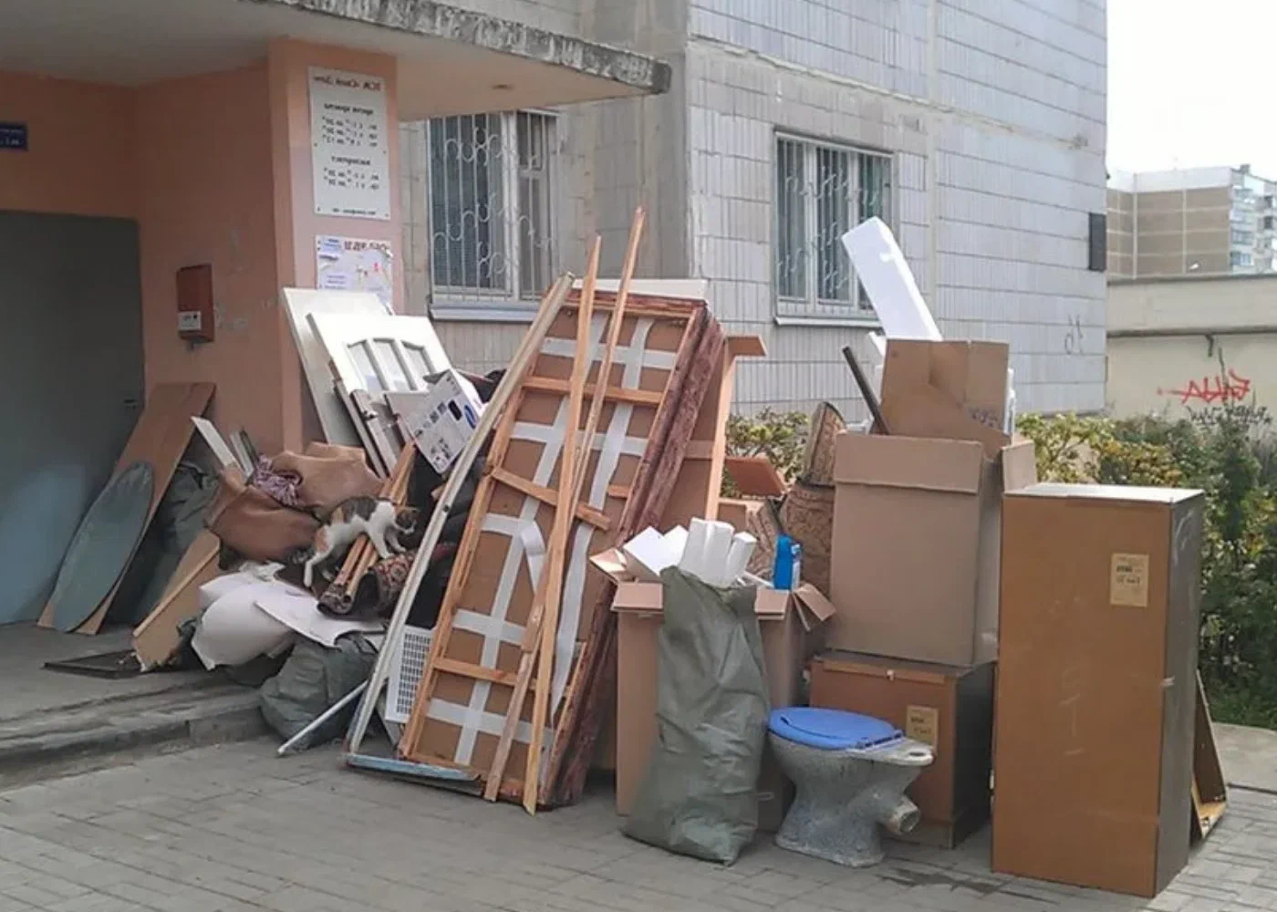 Профессиональный вывоз мусора из квартиры в Балашихе в октябре