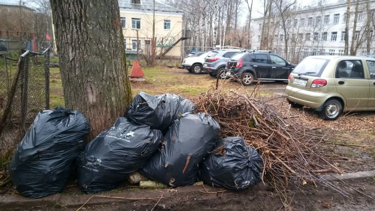 Вывоз мусора после субботника в Балашихе от ПроМусор – уборка и утилизация отходов от 2409 руб