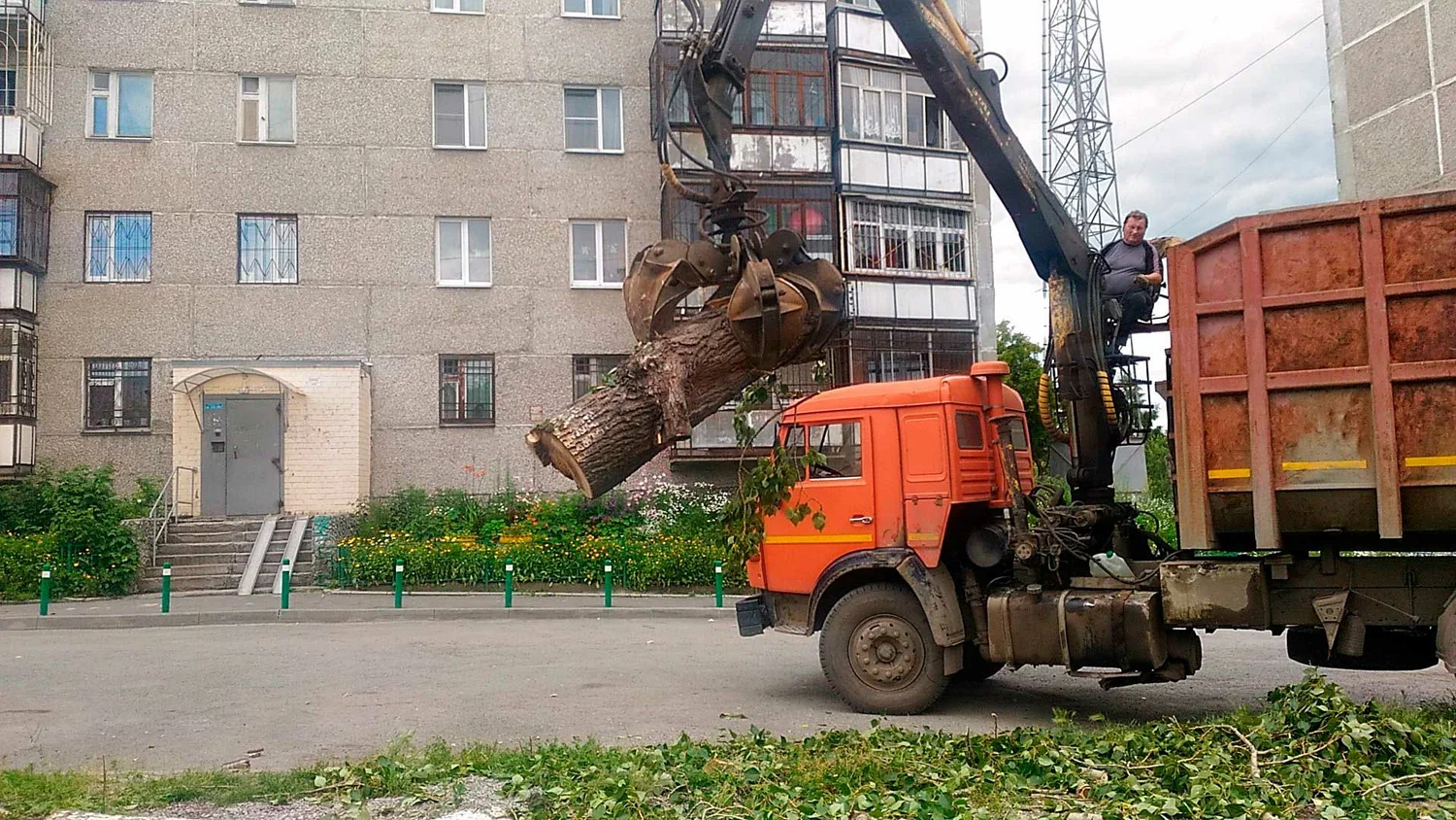 Вывоз спиленных веток и деревьев в Балашихе от ПроМусор: порубочные остатки, утилизация, цена от 2973 руб