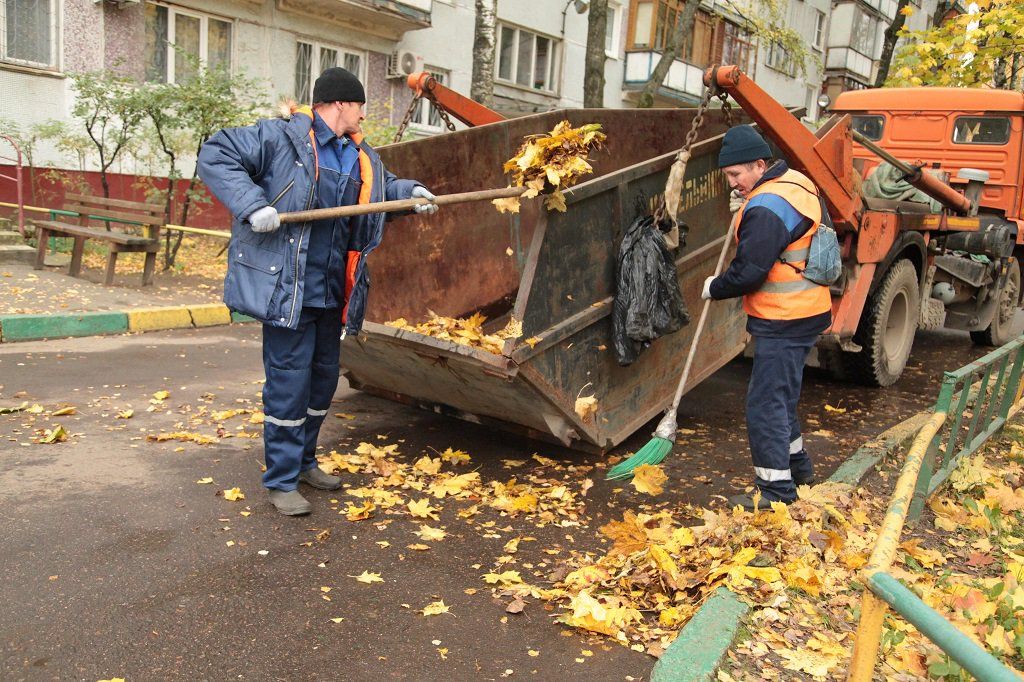 Вывоз опавшей листвы и растительного мусора в Балашихе от ПроМусор – цена от 4614 руб., быстрая уборка и утилизация